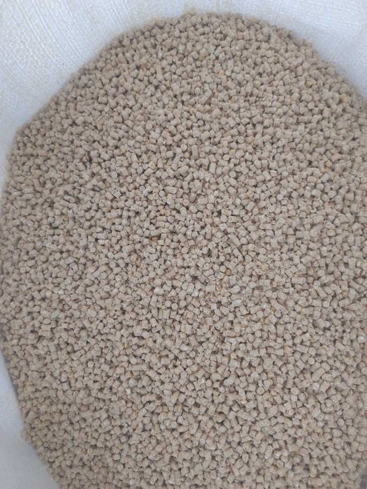 Бройлер КОББ 500