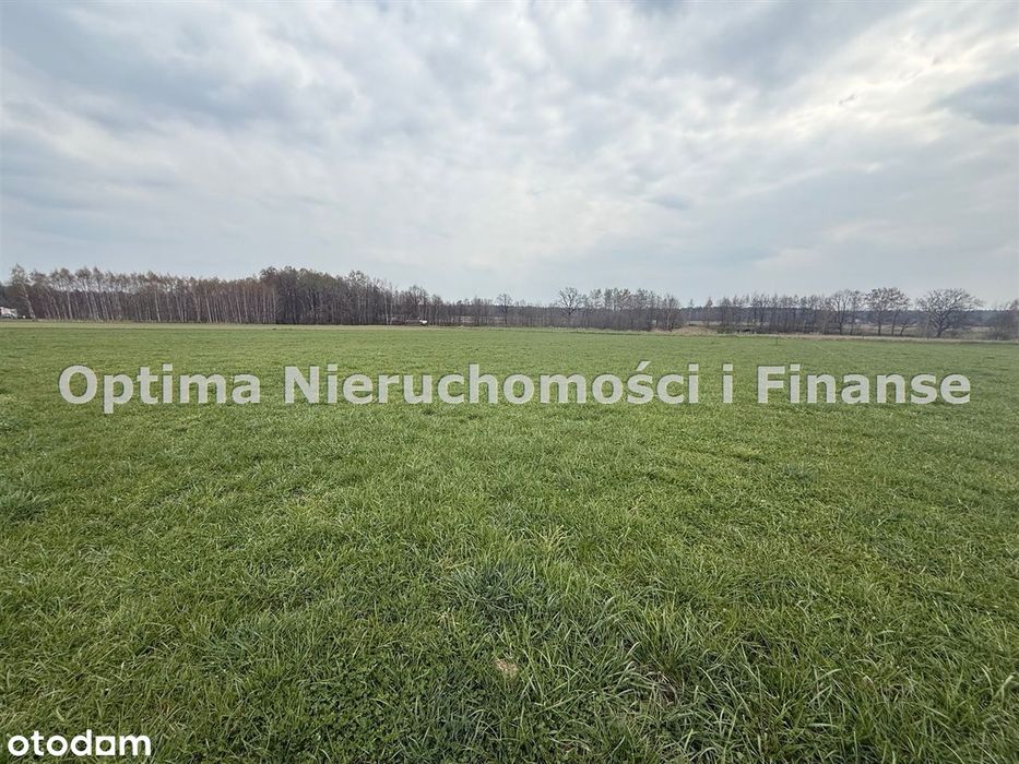 Oferta Sprzedaży Działek – Stanica, UL. Gliwicka