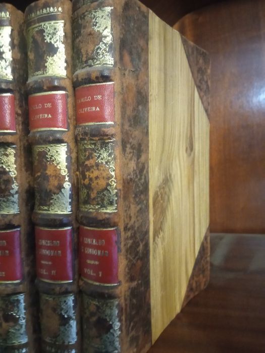 Menografias do Concelho de Gondomar e outros.