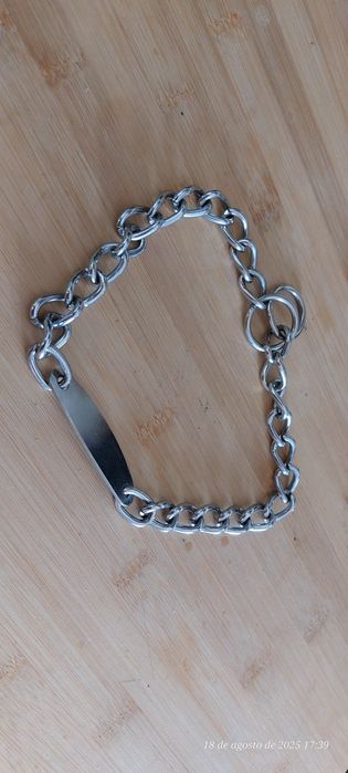 Coleira de estrangulamento para treinamento de cães