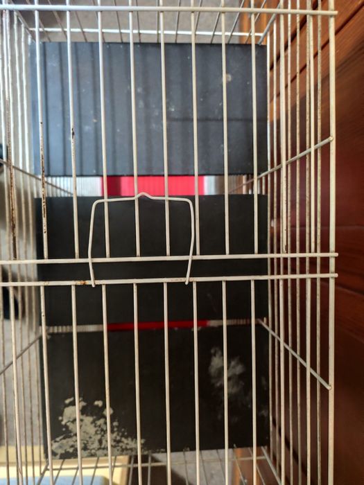 Gaiola (adequada para chinchila)