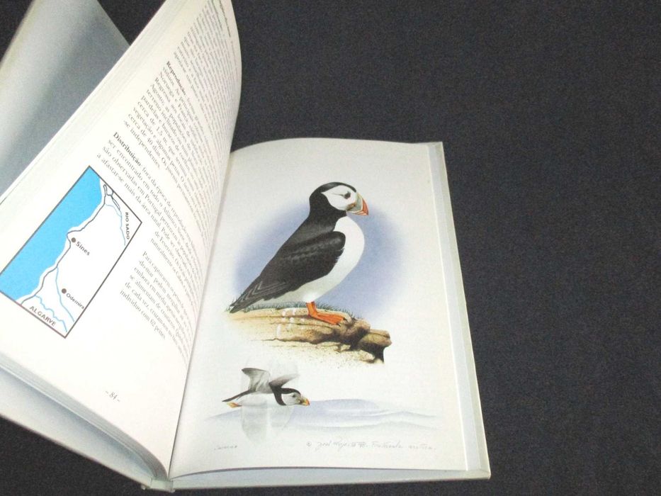 Livro Aves da Costa Alentejana José Projecto Miguel Lecoq
