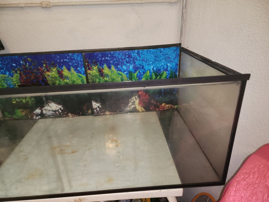 Vendo aquário  para peixes ou tartaruga