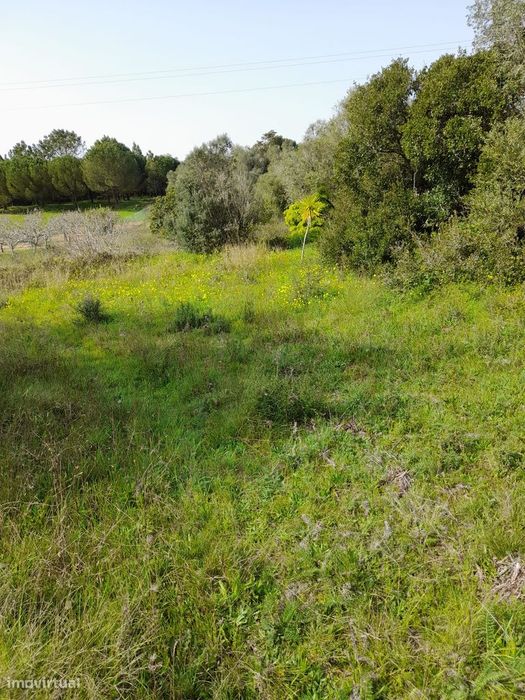 Terreno na Azóia com 5.600 m2