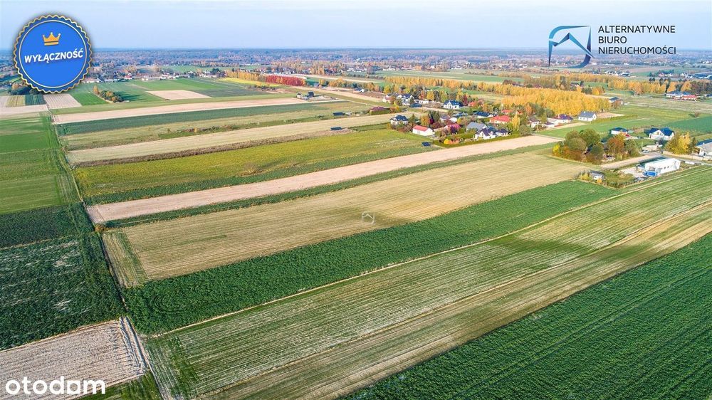 Działka rolna w Rudce Kozłowieckiej - View 6