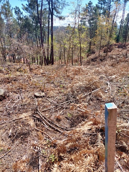 Vendo terreno Urbanizável