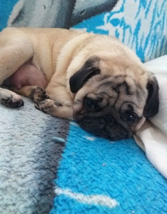 Шикарний хлопчик