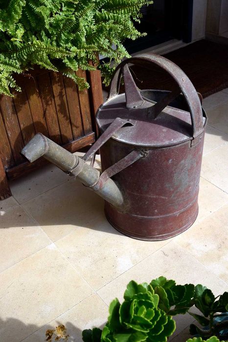 Regador Zinco Vintage