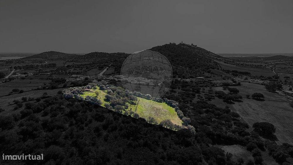 Terreno  para venda — Monsaraz, Évora
