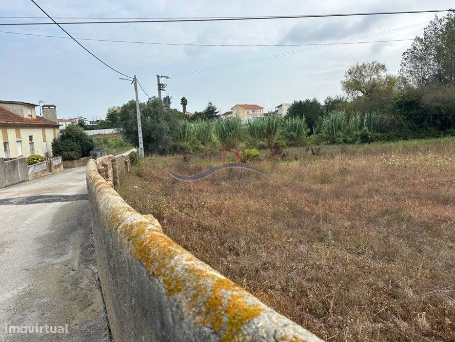 Terreno - Granja, Monte Real — Monte Real E Carvide, Leiria