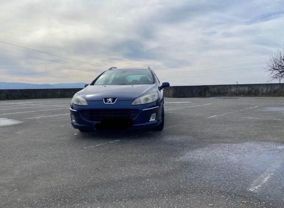 Peugeot 407 Sw diesel