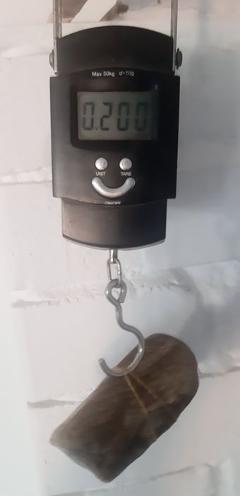 Скам'янілий кусок дерева.