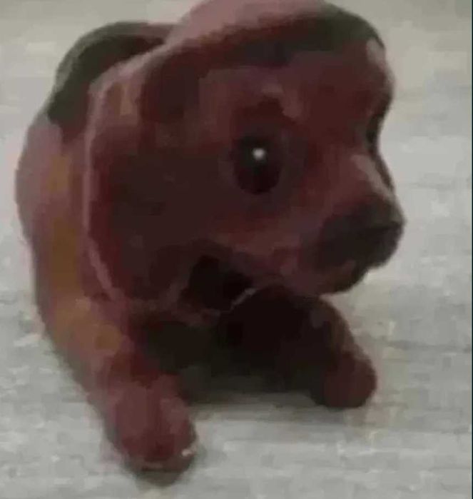 Fiat 125p 126p piesek z kiwającą głową nowy PRL