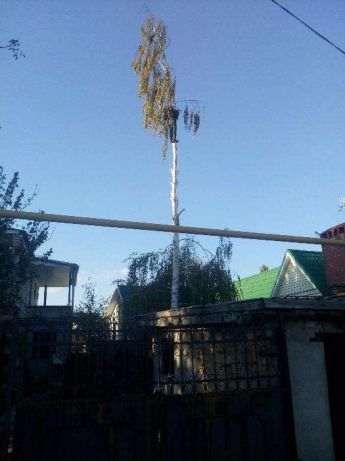 Спилить,обрезать,вывезти,деревья,альпинисты,работа под ключ