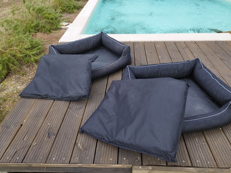 Cama para Cão Luben Xtrem