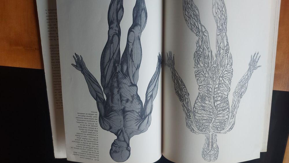 História da Medicina de Jean Starobinski