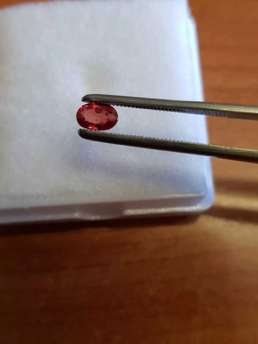 Safira Vermelho 0.77 Kilates Pedra Preciosa Certificado pelo IGI