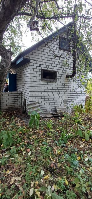 Будинок капітальний дача  біля лісу  С. Благодатне
