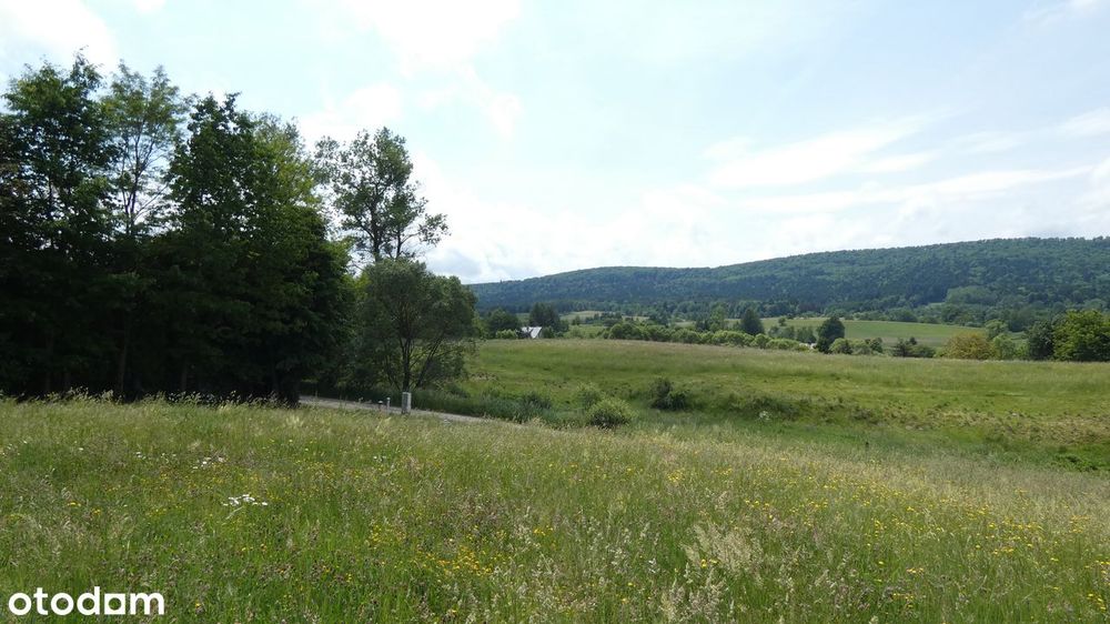 Działki budowlane o łącznej powierzchni 22443 m² w malowniczej okolicy - Widok 3