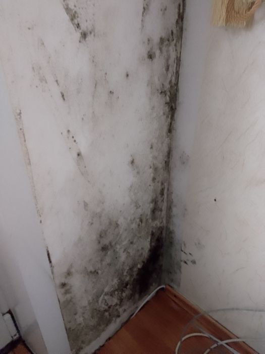 Уборка квартир,домов