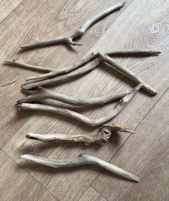 Топляк для тераріума. Коряги для тераріума. Дріфт для акваріума