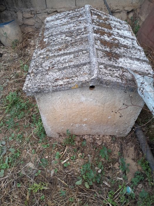 Vendo casa para cão