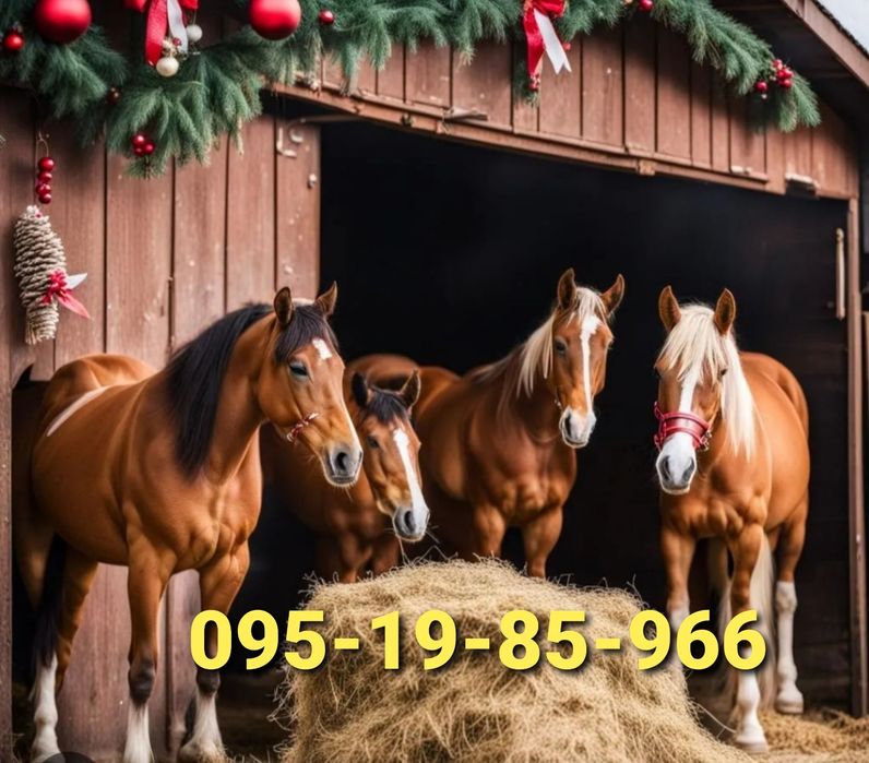 СІНО З ДОСТАВКОЮ від 1 штуки в тюках мішках, сено лісове.