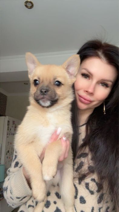 Хлопчик метис шпіца