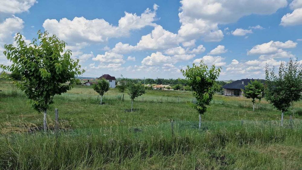 Продам участок в Братском от собственника.