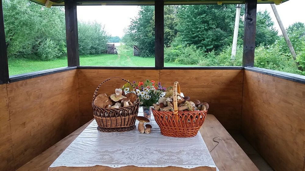 Відпочинок в Карпатах,котедж, Красноїльськ, Черн.обл.НР.ВІЛЬНО!