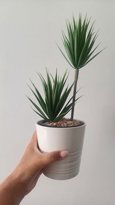 Vaso ikea + planta  (novo)