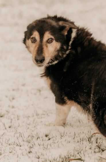 Waldek pragnie miłości i poczucia bezpieczeństwa... Dasz mu szansę?