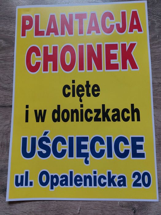 Plantacja  choinek