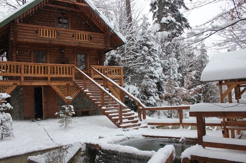 Будинки в Карпатах.  Котедж в Мигово