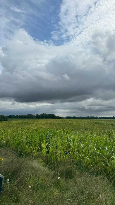 Działka inwestycyjna 5 min od Pruszcza Gdańskiego – ogromny potencjał