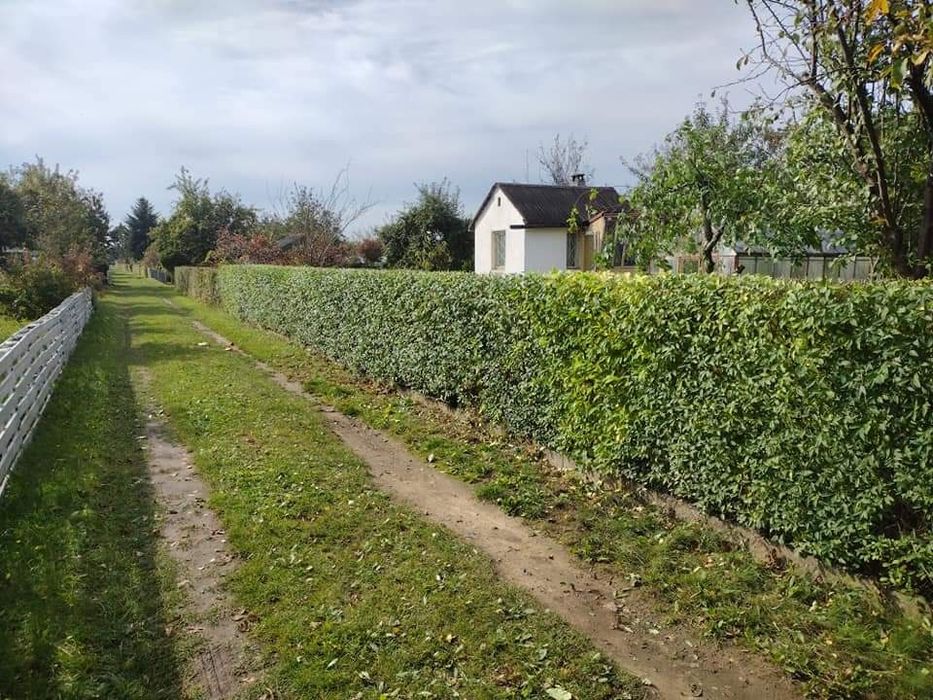 Przycinanie drzew,Przycinanie żywopłotów, utylizacja gałęzi, Koszenie