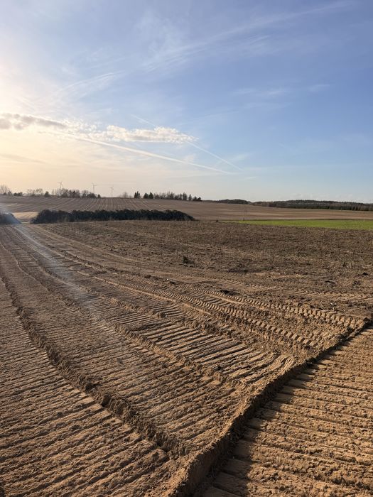 Mulczer wglebny,karczowanie,frez wglebny,samosiejki