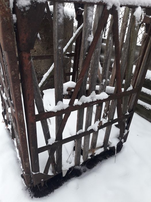 Контейнер для овочів