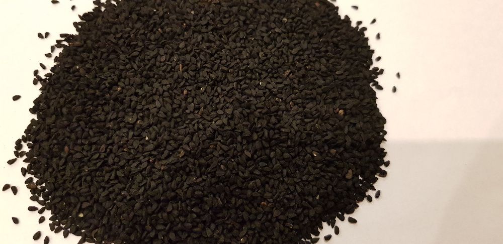 Czarnuszka Indyjska 25kg, Indie, Bardzo wydajna, WYSYŁKA GRATIS