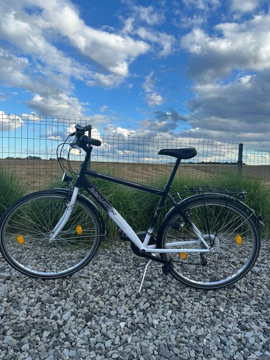 Rower męski Senator