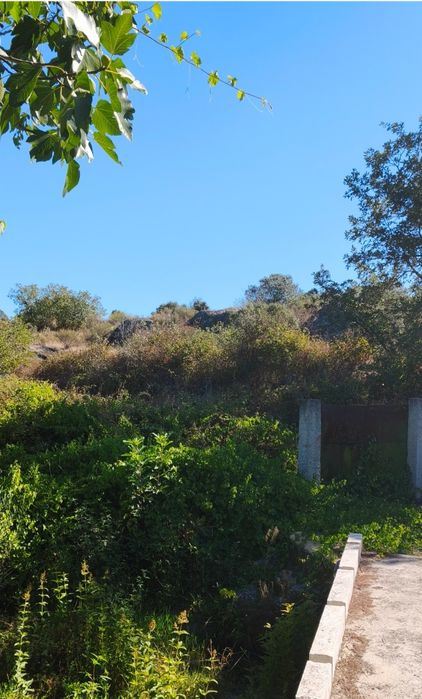 Casa Rústica T4 com Terreno e poço para recuperar - Alentejo