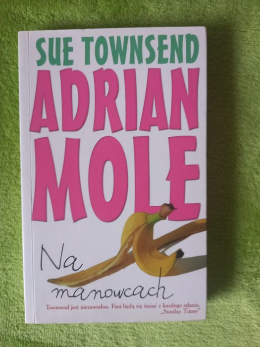 Adrian Mole-na manowcach.