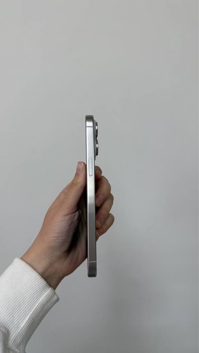 Iphone 15 Pro Max 256 gb 91%(silver  titanium)