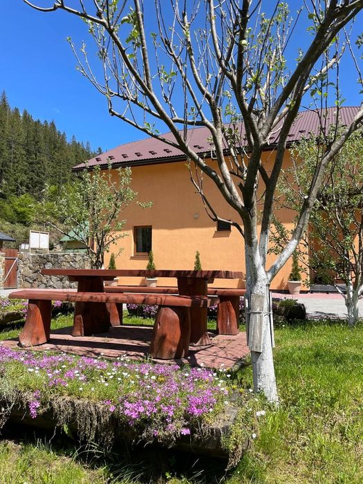 Будинок  у Карпатах Славськ,до 12ть осіб ( «Захар Беркут»)
Біля витя