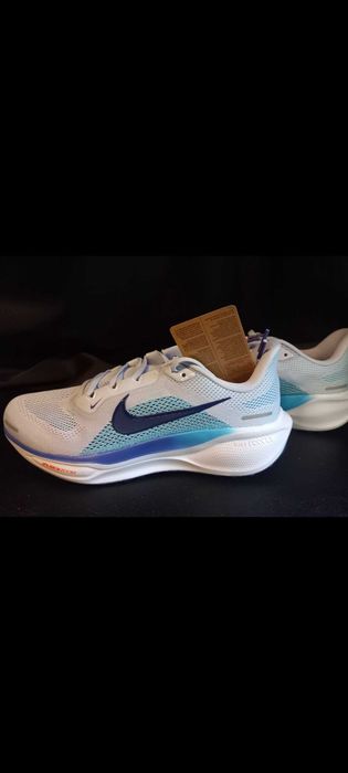 Nike Air Zoom Pegasus 41