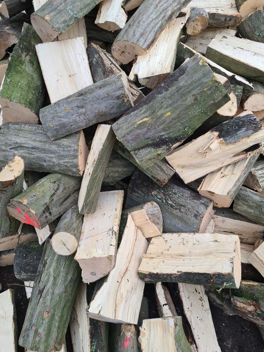 Drewno Opałowe Kominkowe:Sosna, Olcha, Brzoza, Dąb, Buk, Jawor, Akacja