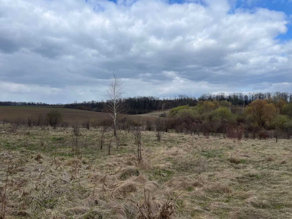 (5) Продам земельну ділянку 12 с в смт. Вороновиця 8116