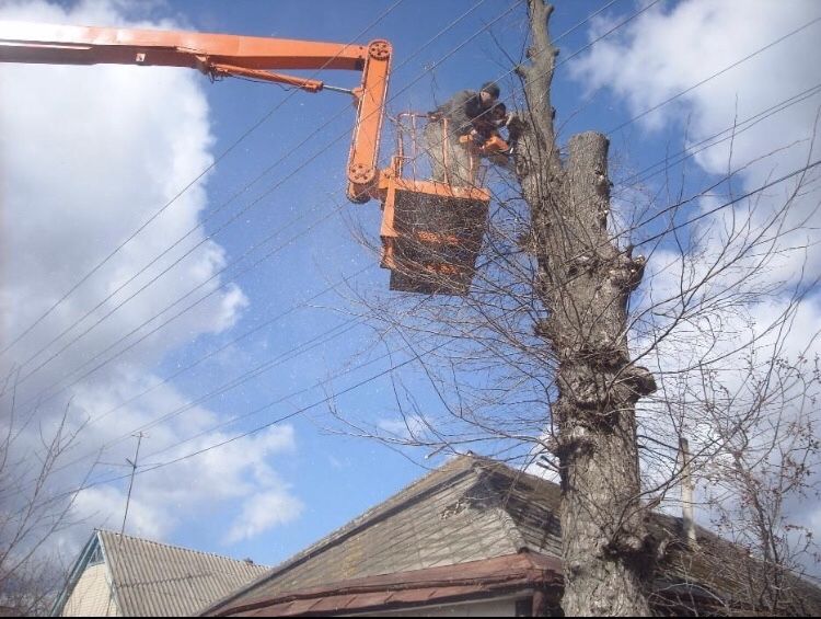 Спил деревьев любой сложности. Дробление и измельчение веток.