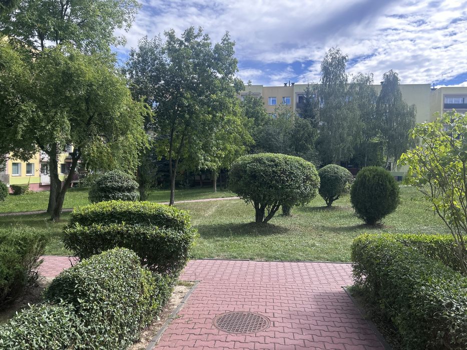 Zdjęcie 7