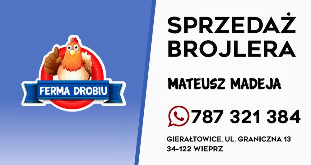 Sprzedaż BROJLERA żywego waga ok.2,50kg  AKTUALNE